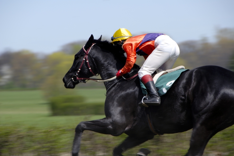 102742-jockey-ricing-on-a-black-horse